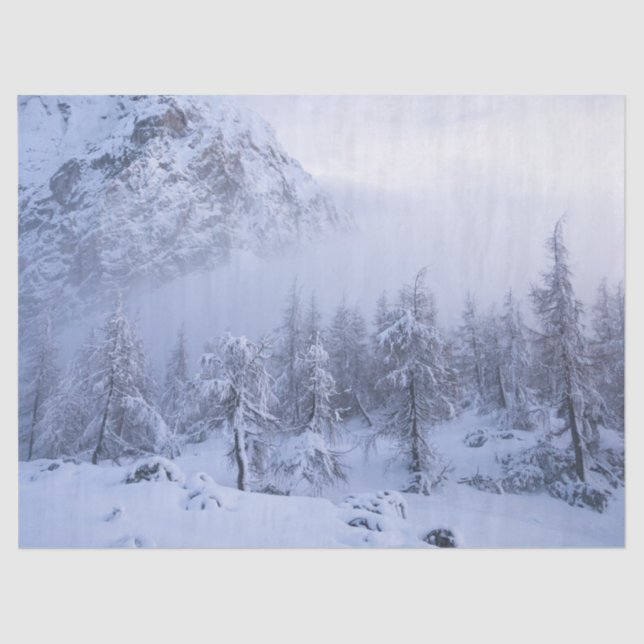 Winter wonderland, fog, spruce forest and mountain tissue paper (Front)