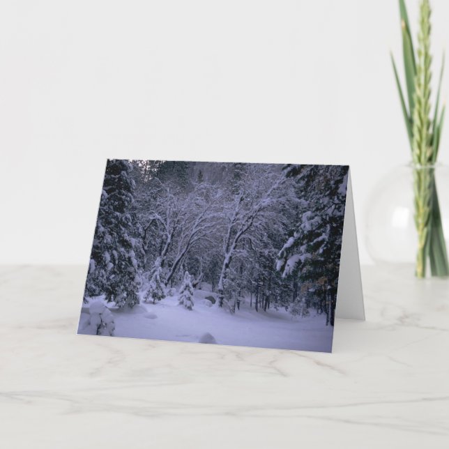 Winter Wonderland Greetings Card (Front)