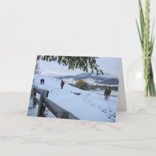 Winter Wonderland Holiday Card