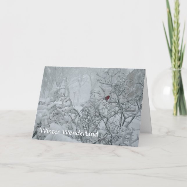 Winter Wonderland Holiday Card (Front)