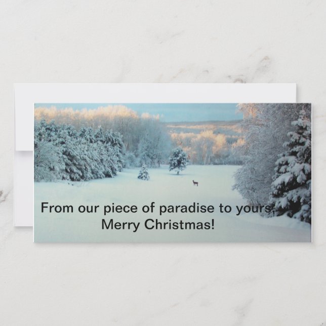 Winter Wonderland Holiday Card (Front)