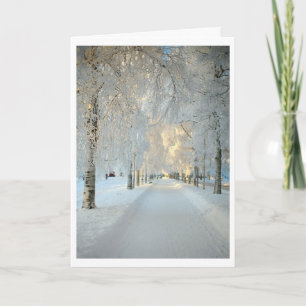 Winter Wonderland Holiday Card