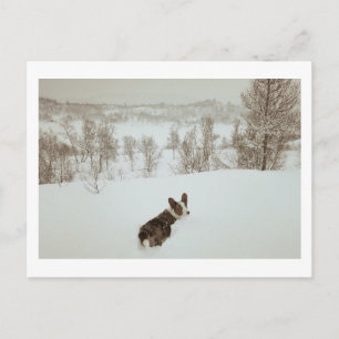 Winter wonderland Holiday Postcard