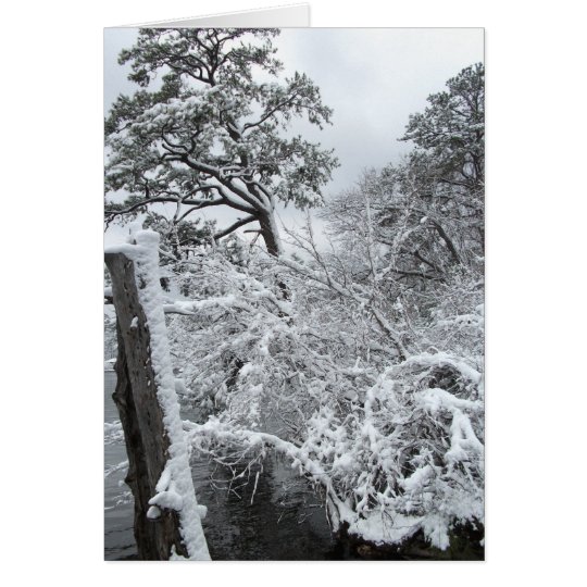 Winter Wonderland II Card