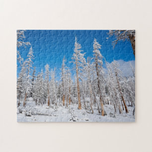 Winter Wonderland Jigsaw Puzzle