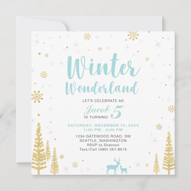Winter Wonderland - Kids Birthday Invitation - Boy (Front)