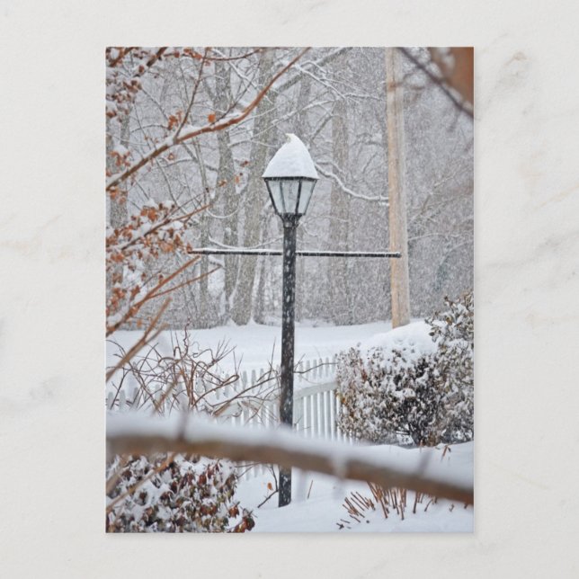 Winter Wonderland - Lamp Post Postcard (Front)