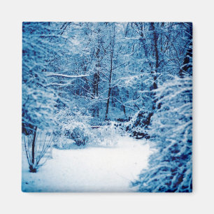 Winter Wonderland Magnet