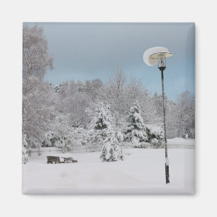Winter wonderland magnet