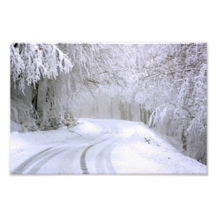 Winter Wonderland of Snow Photo Print