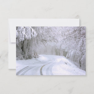 Winter Wonderland of Snow Thank You Card