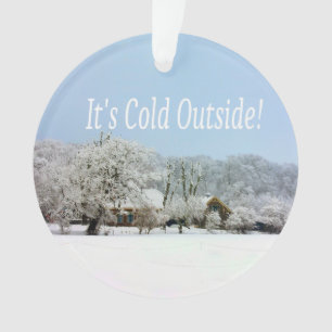 winter wonderland ornament