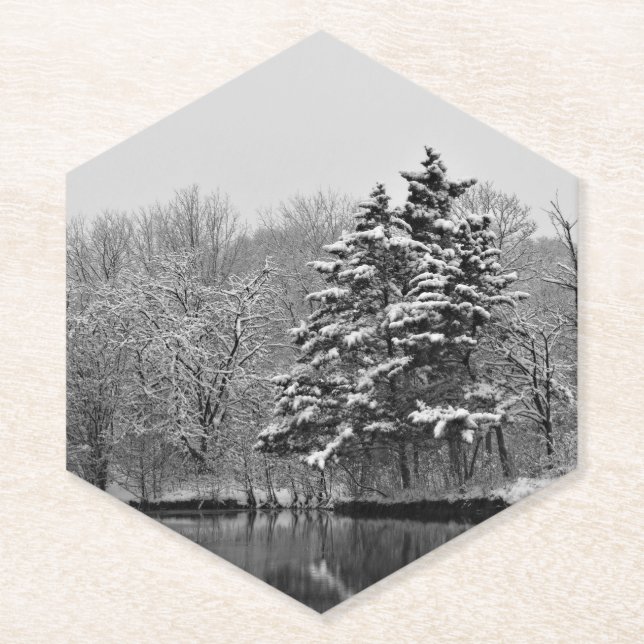 Winter Wonderland  Paper Coaster (Front)