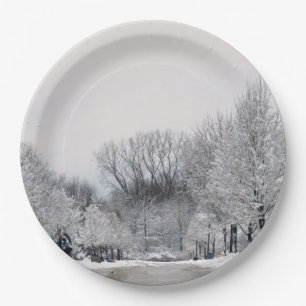 WINTER WONDERLAND  PAPER PLATE