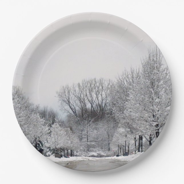 WINTER WONDERLAND  PAPER PLATE (Front)