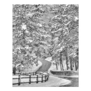 Winter Wonderland Photo Enlargement