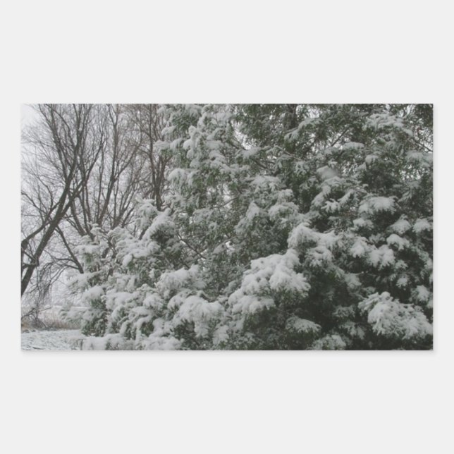 Winter Wonderland Pine Tree with Snow Fall Rectangular Sticker (Front)