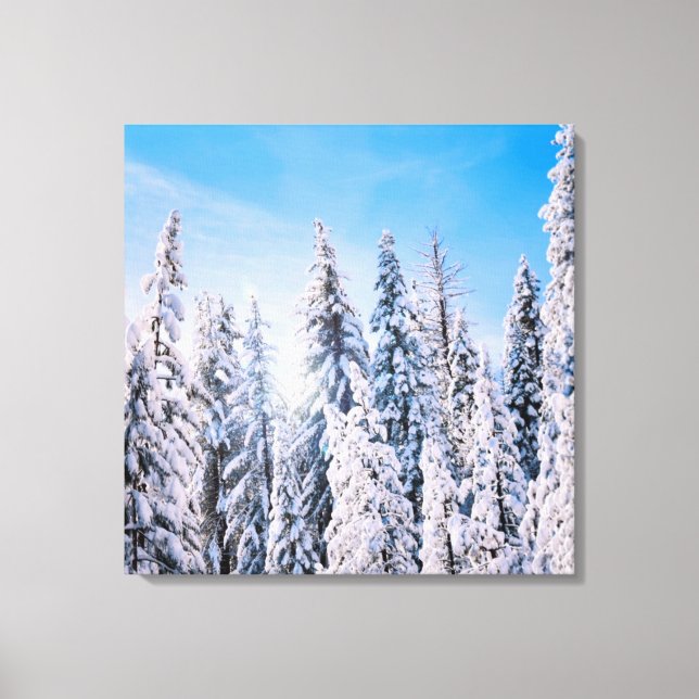 Winter Wonderland Pine Trees in Snow Canvas Print (Front)