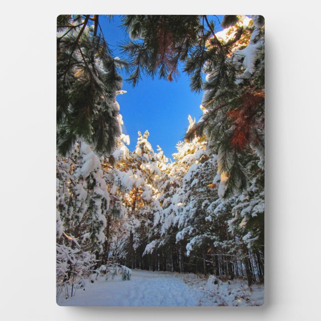 Winter Wonderland Plaque (Front)