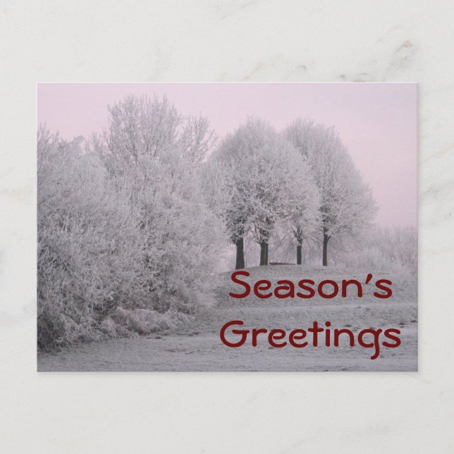 Winter wonderland postcard (Front)