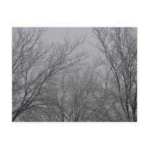 Winter Wonderland Postcard