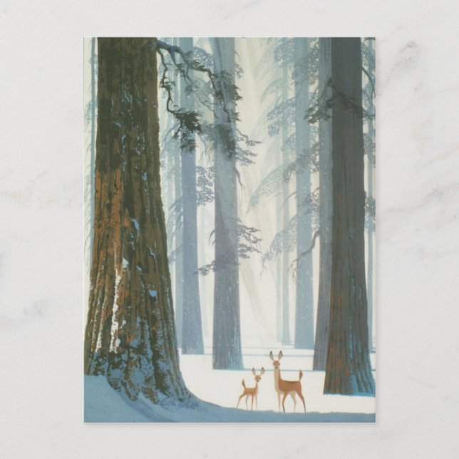 Winter Wonderland Postcard (Front)