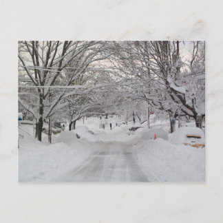 Winter Wonderland Postcard