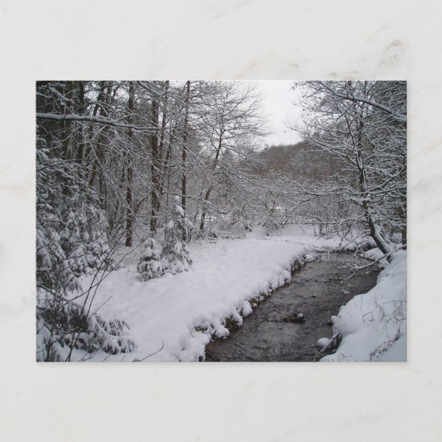 Winter wonderland postcard (Front)