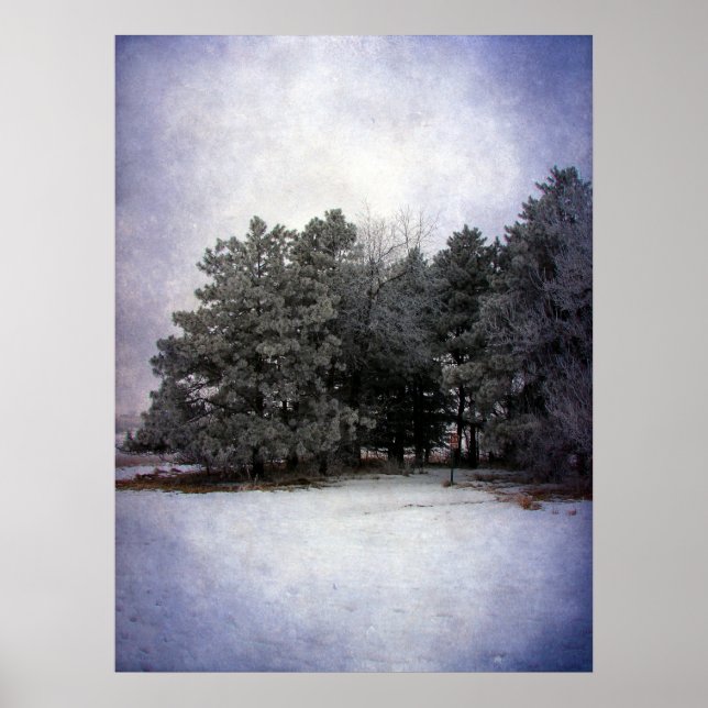 Winter Wonderland Poster (Front)