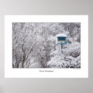 Winter Wonderland Poster