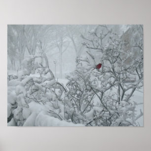 Winter Wonderland Poster