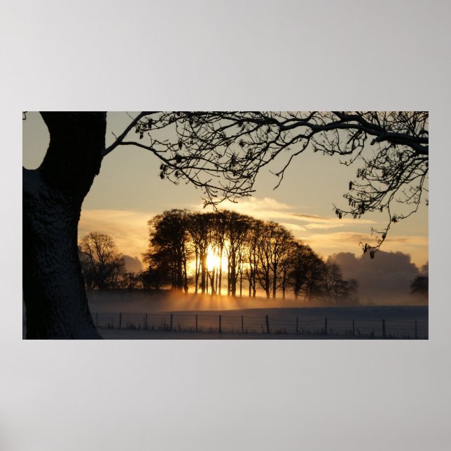 Winter wonderland poster (Front)