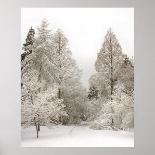 Winter Wonderland Poster Winter Vancouver Print