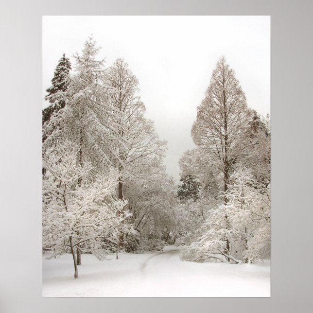 Winter Wonderland Poster Winter Vancouver Print (Front)