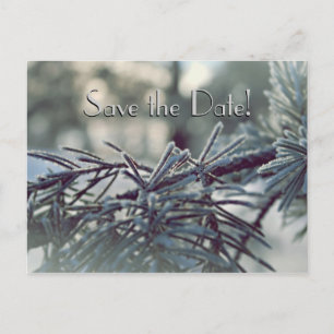 Winter Wonderland Save the Date Postcard