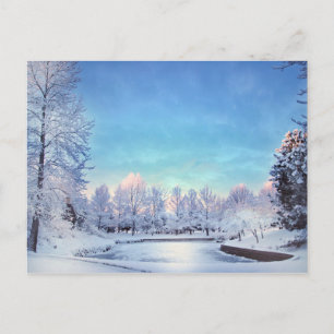 Winter Wonderland Scene Christmas Postcard