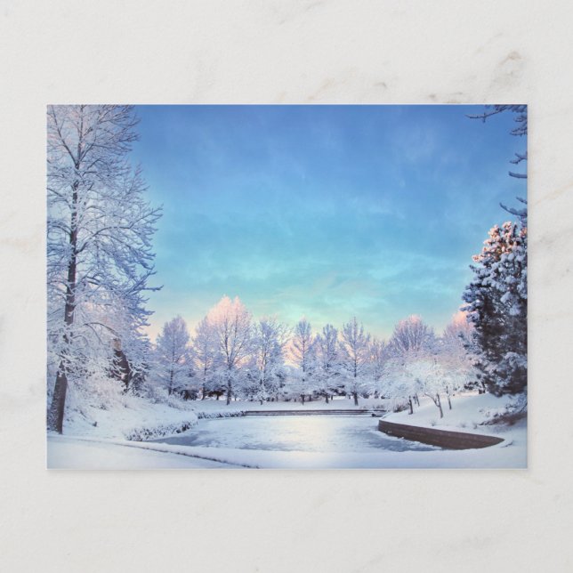 Winter Wonderland Scene Christmas Postcard (Front)