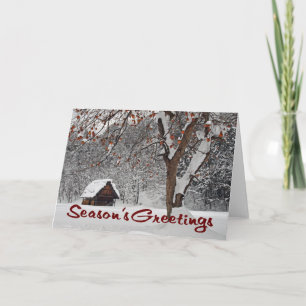 Winter Wonderland (Season's Greetings) Holiday Card