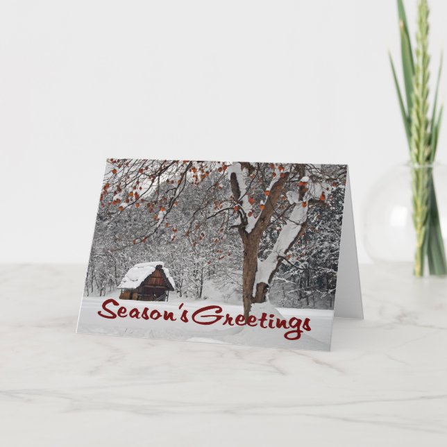 Winter Wonderland (Season's Greetings) Holiday Card (Front)