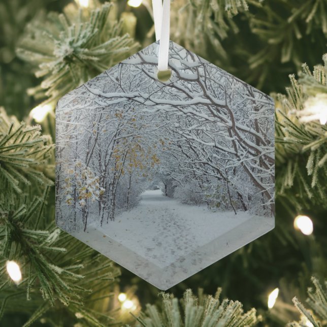 Winter Wonderland Snow Ornament (Insitu)