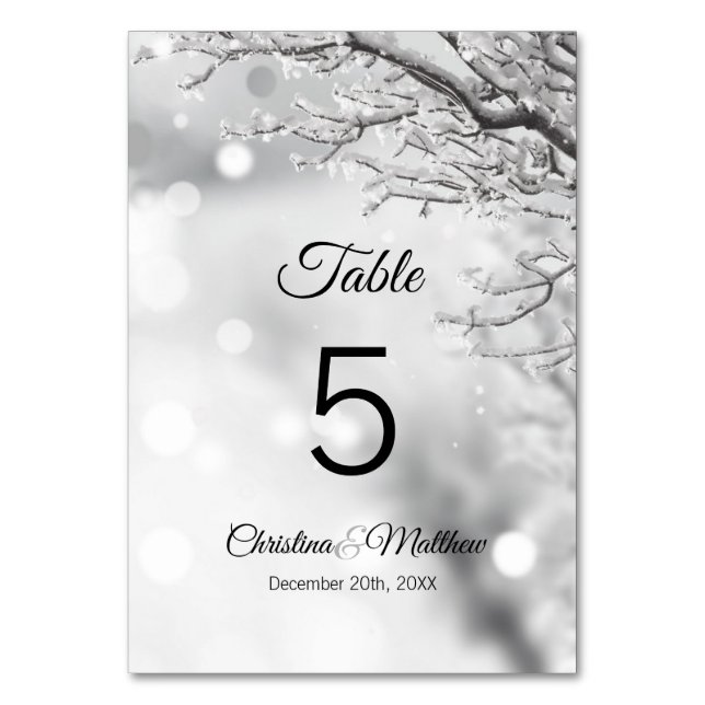 Winter Wonderland Snow Wedding Ceremony Table Number (Front)
