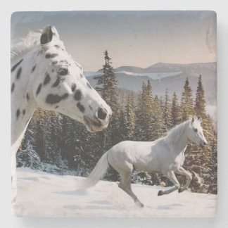 Winter Wonderland Stone Coaster