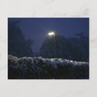 Winter wonderland street