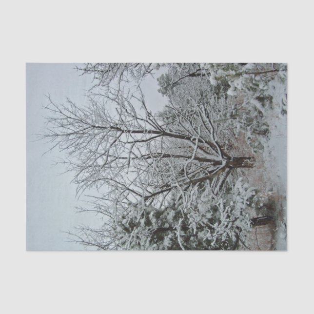 Winter Wonderland Tissue Paper (Front)