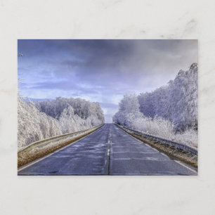 Winter Wonderland Travel Photo Postcard