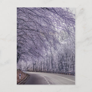 Winter Wonderland Travel Photo Postcard