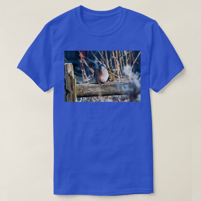Winter Wood Pigeon 1 T-Shirt (Design Front)