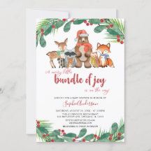Winter Woodland Animals Christmas Baby Shower