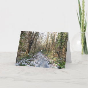 Winter woodland at Arnside Thank You Card