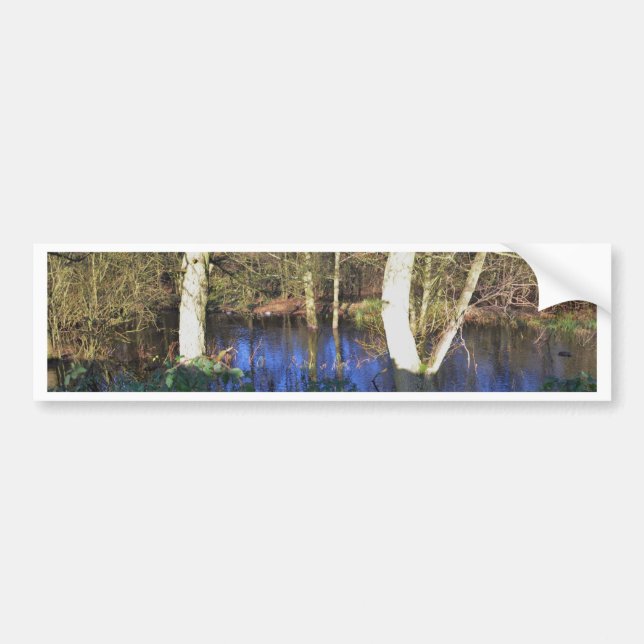 Winter Woodland Bumper Sticker (Front)